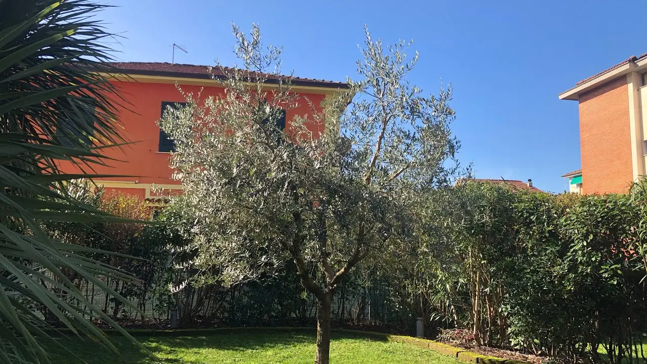 Quanto può valere la ristrutturazione di un giardino al metro quadrato?