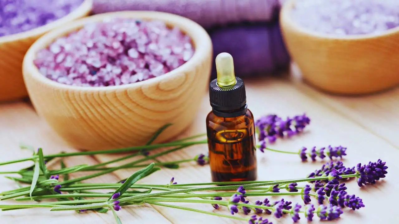 Ecco come profumare intensamente ogni stanza della casa in inverno con prodotti naturali