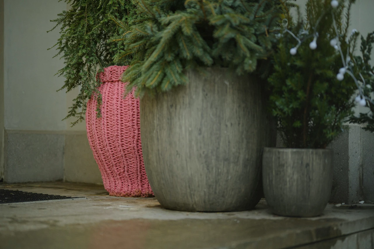 Hai un vaso grande e vuoto? Ecco cosa metterci per dare un tocco spettacolare alla casa
