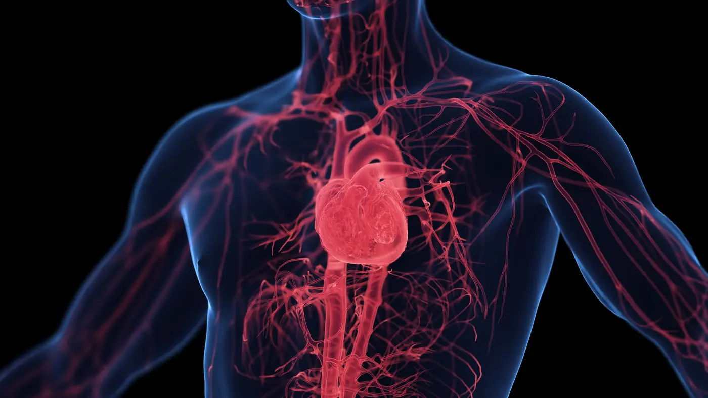 Rischio cardiovascolare: cosa si intende e come calcolarlo